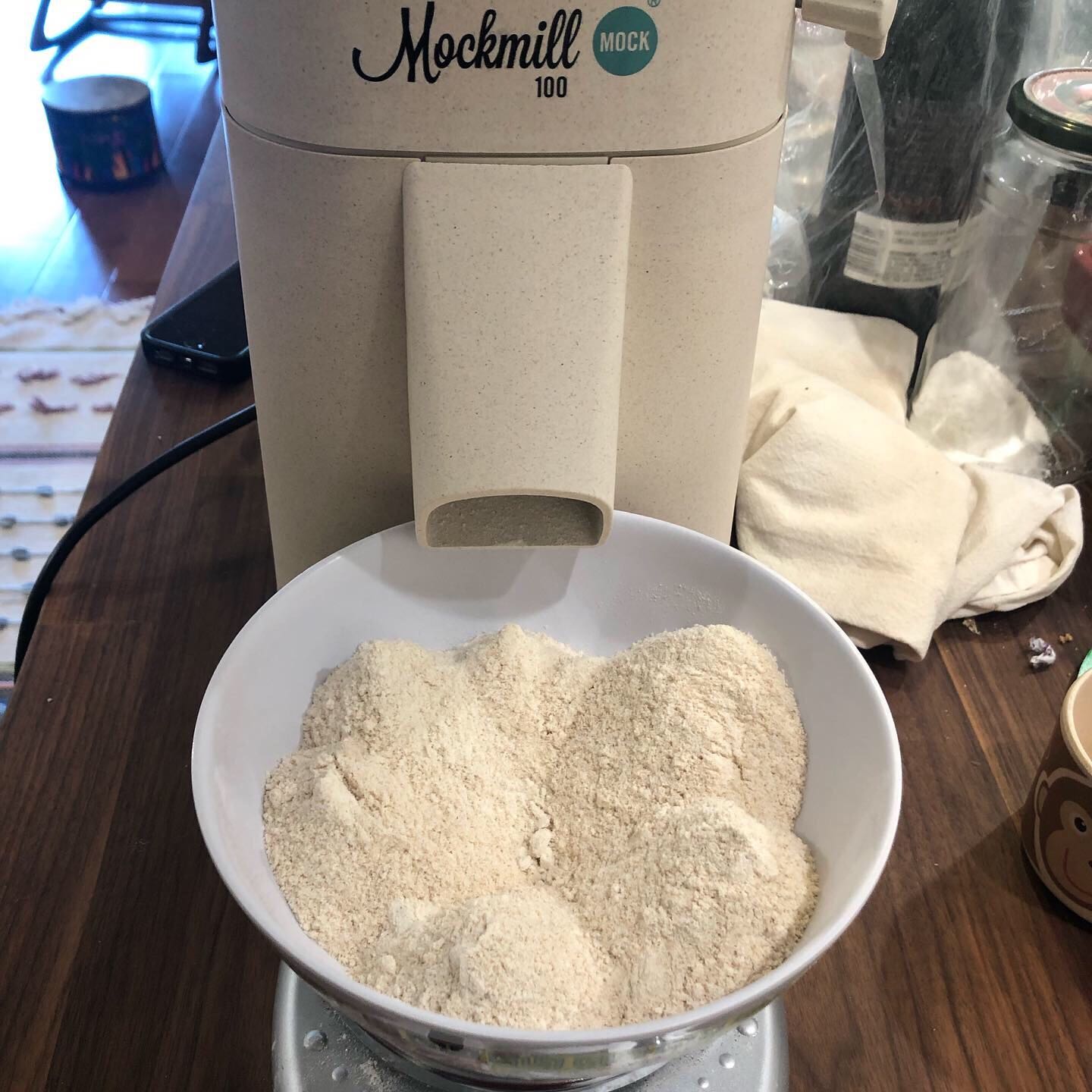 Mockmill 100