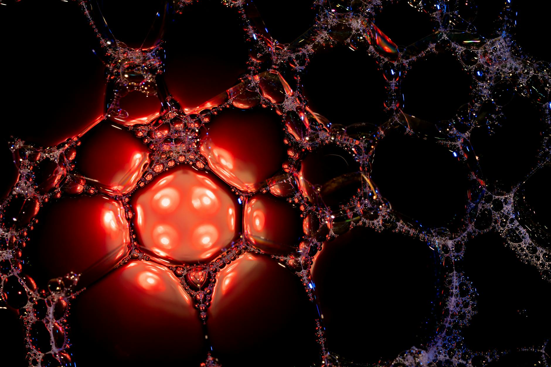 vibrant red and black soapy bubbles macro photography
